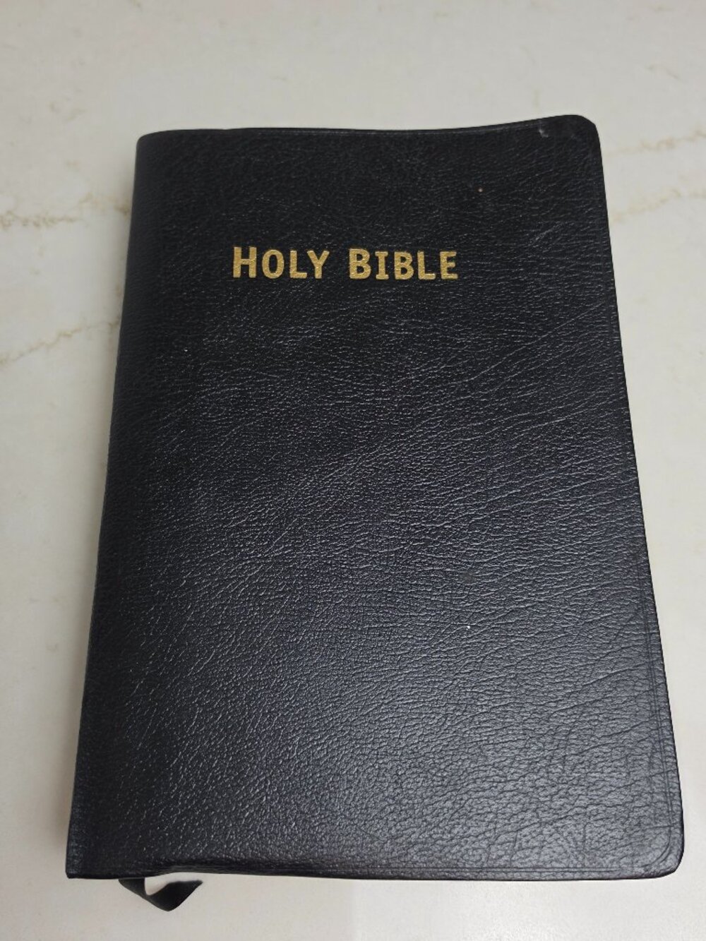 Large Print Catholic Holy Bible (NAB) - Gold Gilt Edges